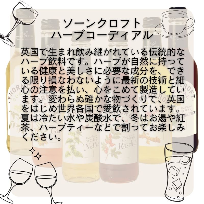 最終値下げ　A Modern Herbal 貴重なハーブの洋書 最終値下げ A Modern Herbal 貴重なハーブの洋書 最終値下げA