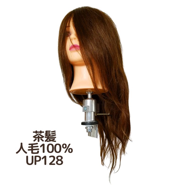 美容師 アップウィッグ 人毛100％ ヘアアレンジ アップスタイル 練習用 茶髪 UP128 マネキンヘッド