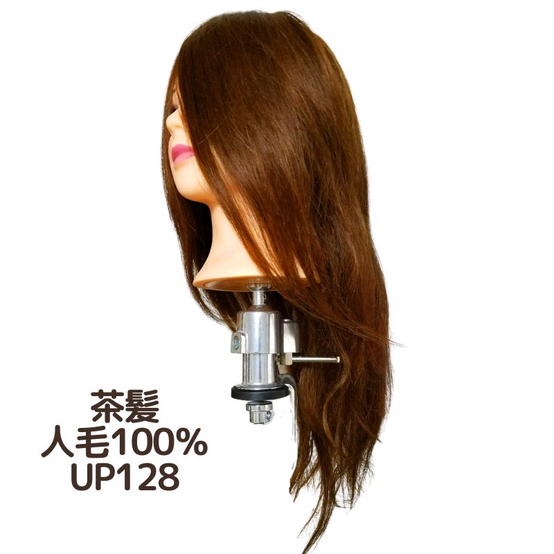 美容師 アップウィッグ 人毛100％ ヘアアレンジ アップスタイル 練習用 茶髪 UP128 マネキンヘッド