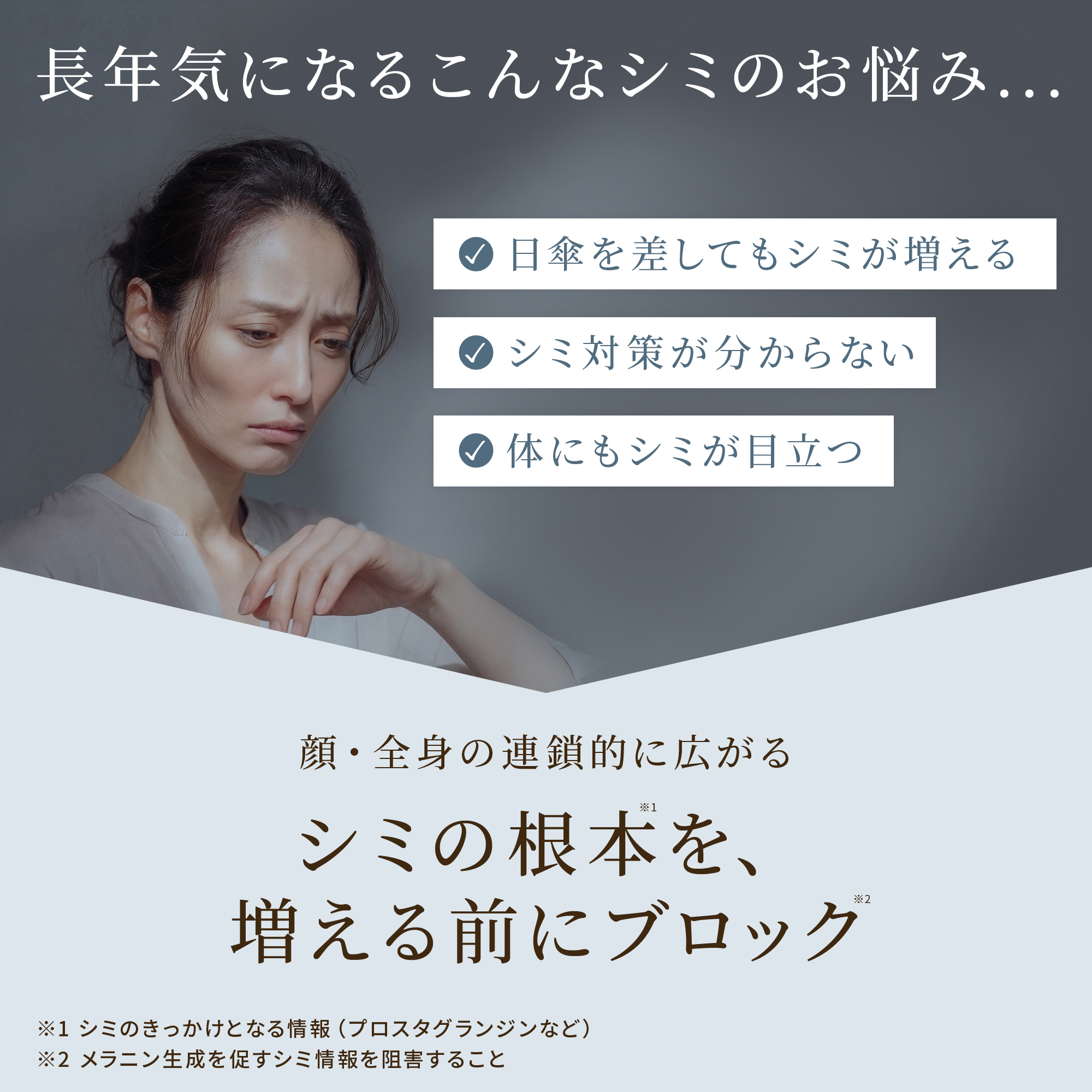 BRIGHTAGE 母の日 限定 ブライトエイジ ベースメイクセット 公式