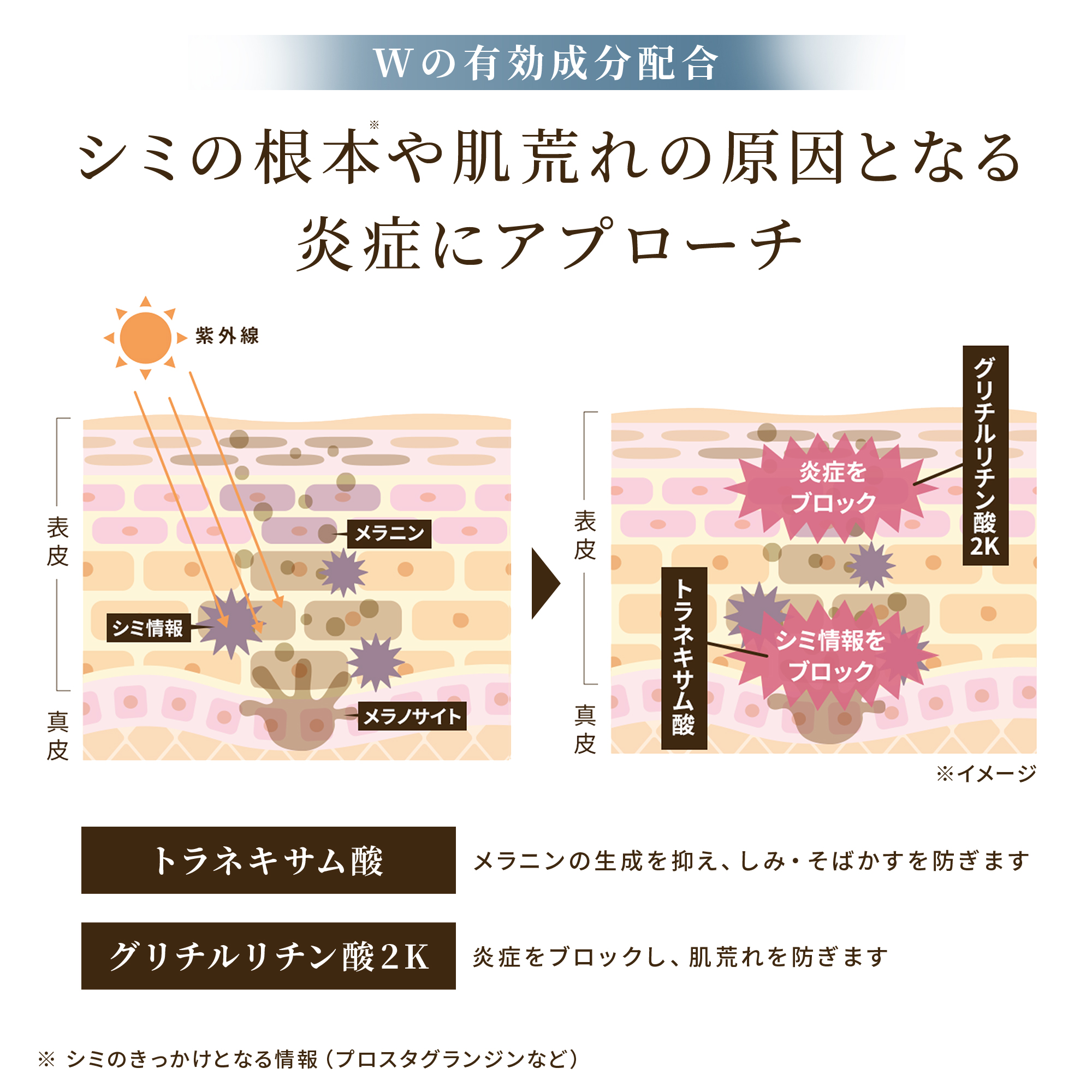 BRIGHTAGE 母の日 限定 ブライトエイジ ベースメイクセット 公式