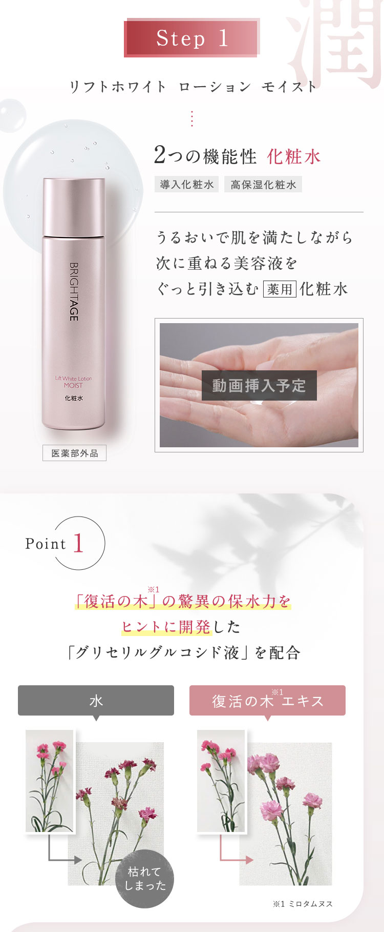 BRIGHTAGE 公式 化粧水 乳液状 美容液 セット ブライトエイジ