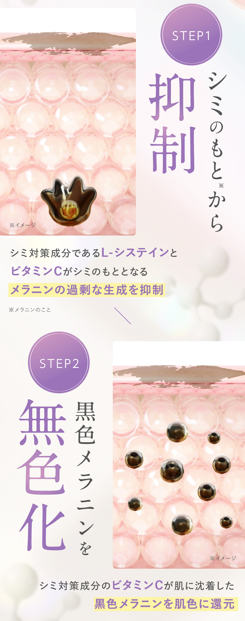 ブライトエイジホワイト 31日分 公式 シミ そばかす シミ緩和 紫外線
