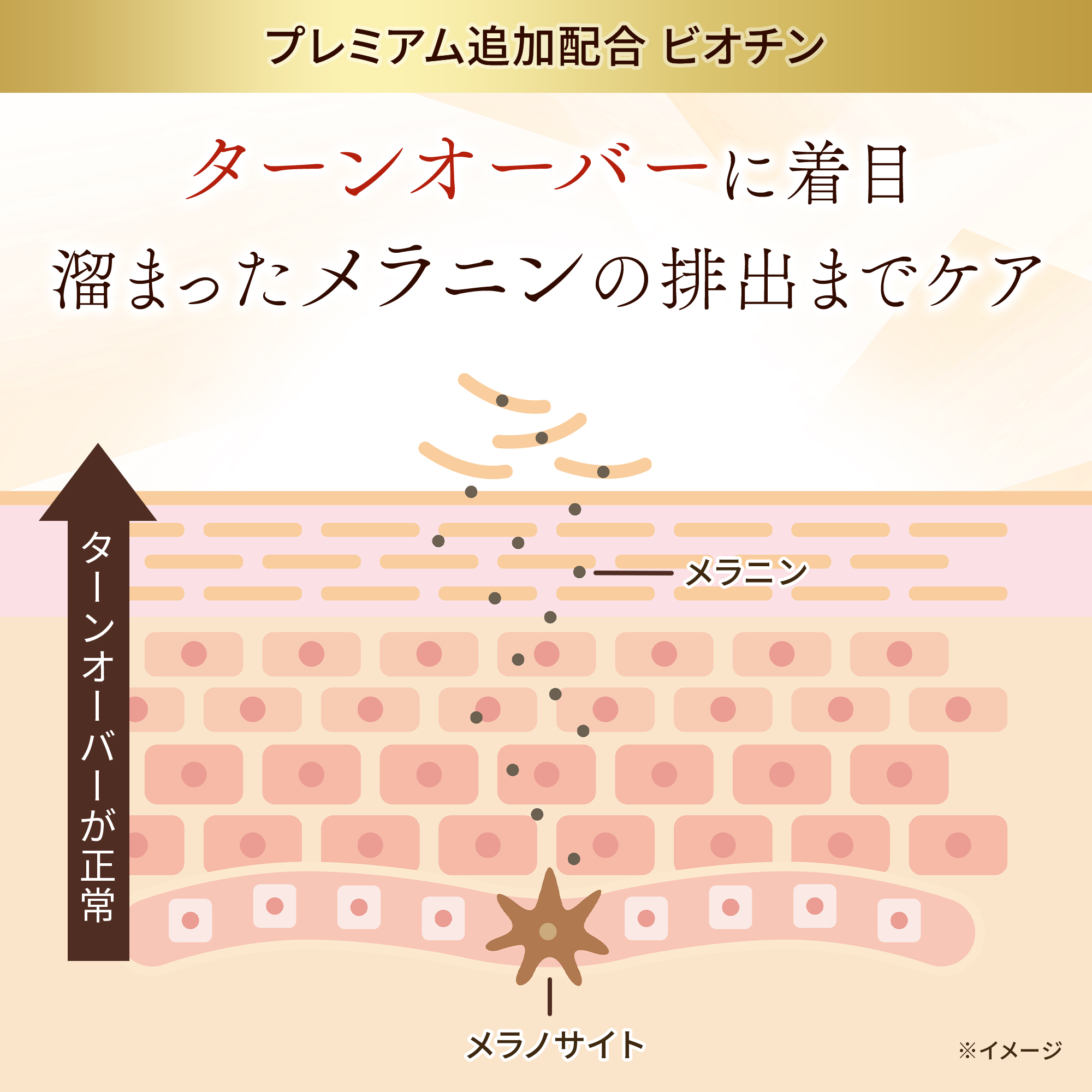 第一三共ヘルスケア ブライトエイジホワイトプレミアム 31日分 1袋