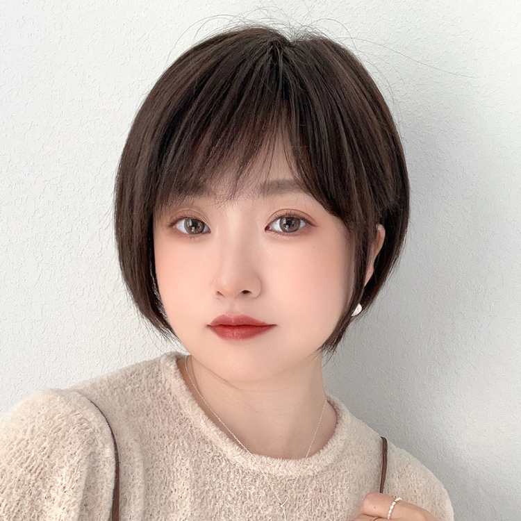 Brightlele 医療用ウィッグ 人毛MIX ウィッグ 人毛ウィッグ 人毛