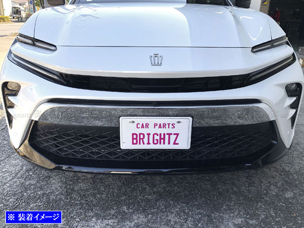 Sクラウン3.0TWIN CAM グリル Sクラウン3.0TWIN CAM グリル Sクラウン3.0TWIN CAM グリル Sクラウン