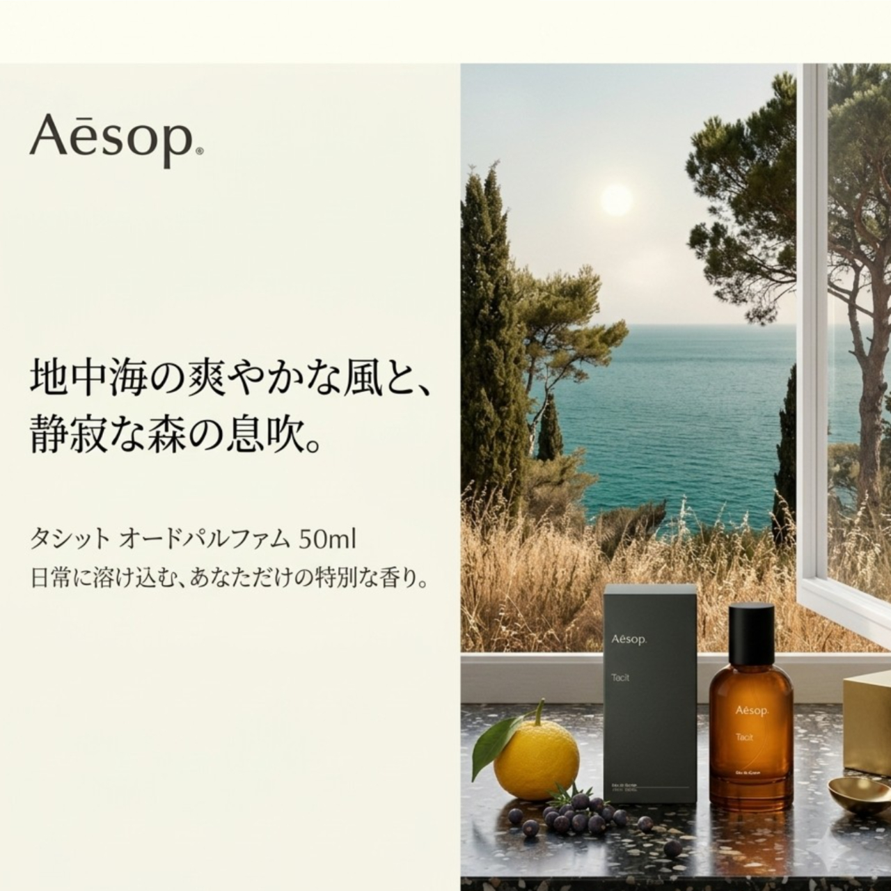 Aesop（イソップ） タシット オードパルファム EDP 50ml AESOP Tacit