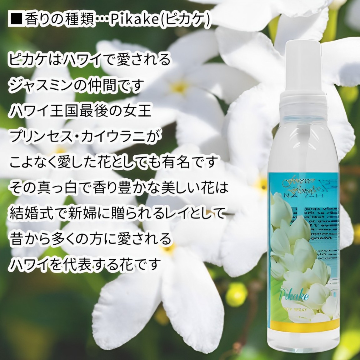 ピカケ ハワイアン Pikake トップス ※ 現 価格でお願いします 楽天市場】ハワイアン ピカケの通販