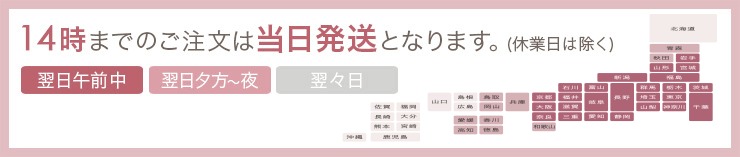 14時までのご注文は当日発送となります。（関東近県なら翌日お届け♪）【送料無料】(日曜のご注文及びご予約商品は除きます)