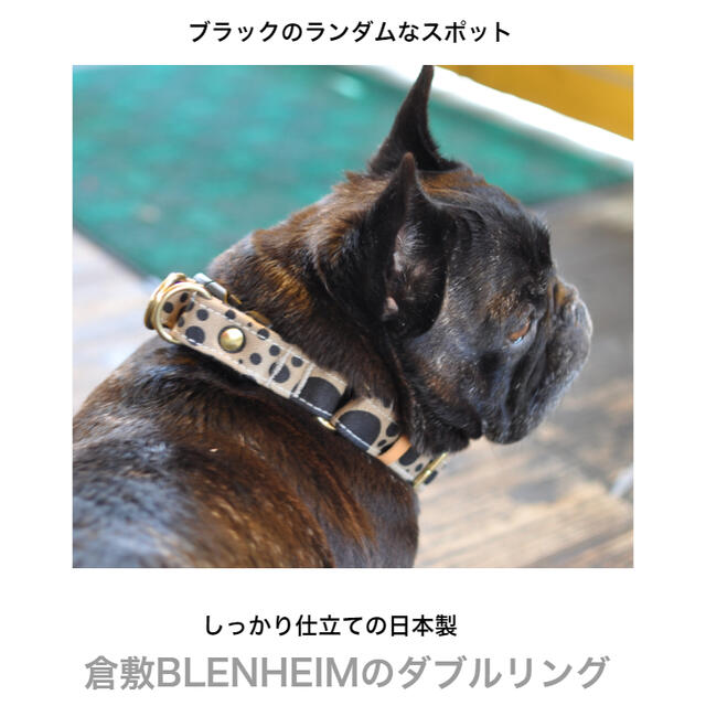 neighborhood 首輪　ブルー　犬 ネイバーフッド“愛犬用”チャーム付き首輪＆リードなど