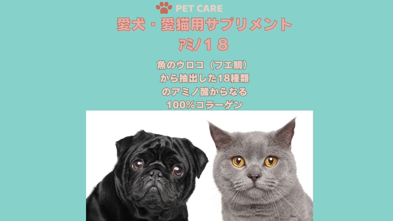 首輪 ハーネス Brindle Yahoo!店 - Yahoo!ショッピング