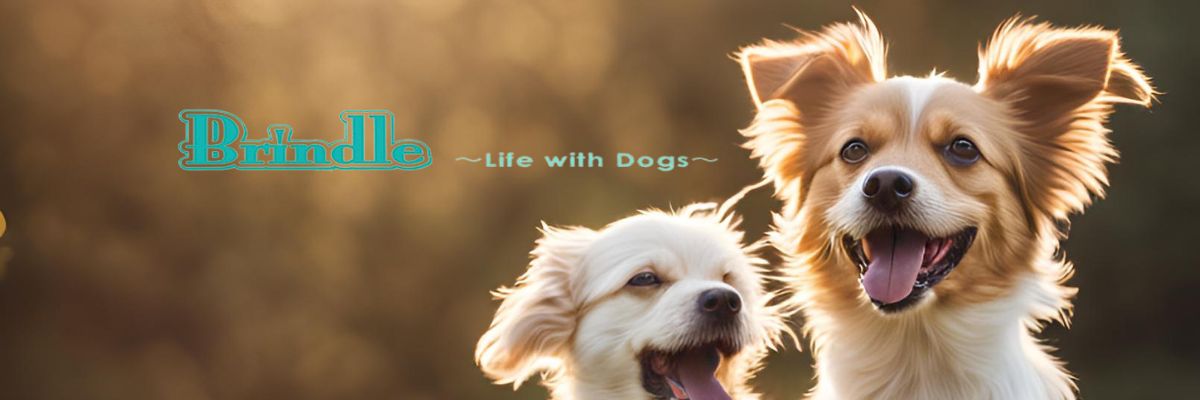 首輪 ハーネス Brindle Yahoo!店 ヘッダー画像