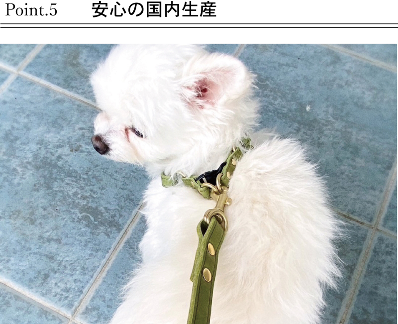 ペット用ハーネス（S〜SS）栃木レザー モストロレザー ヌメ 日本