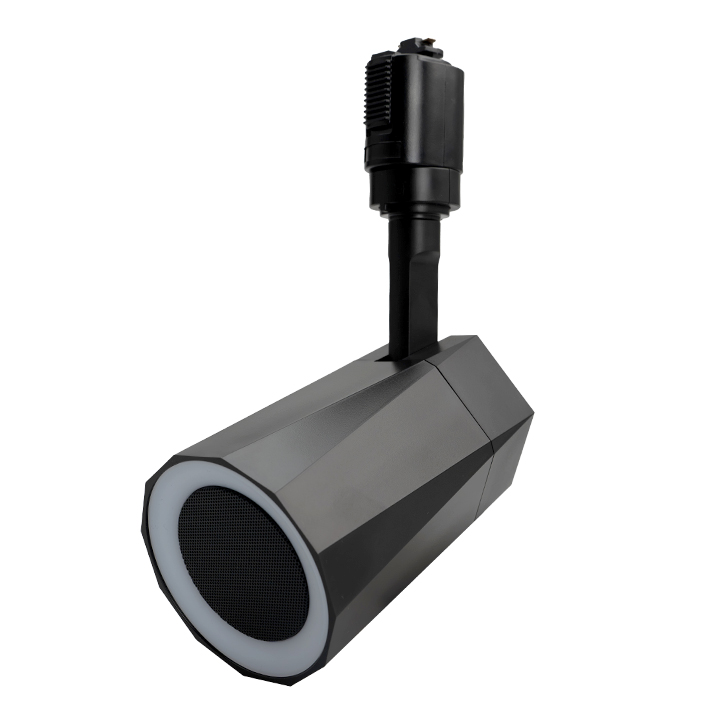 bluetooth スピーカー 2個セット 小型 ポータブルスピーカー 高音質 iPhone Android おしゃれ ブルートゥース 12W リモコン付き 黒 おしゃれ 部屋 LDRSPK12 | Beamtec | 01