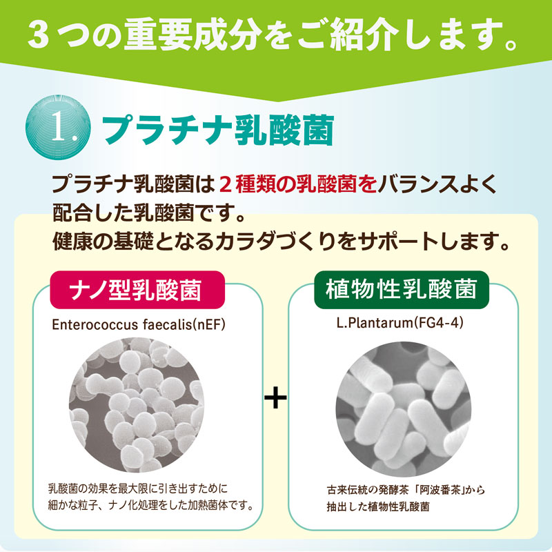 もん「乳酸菌革命」6袋 商品詳細ページ