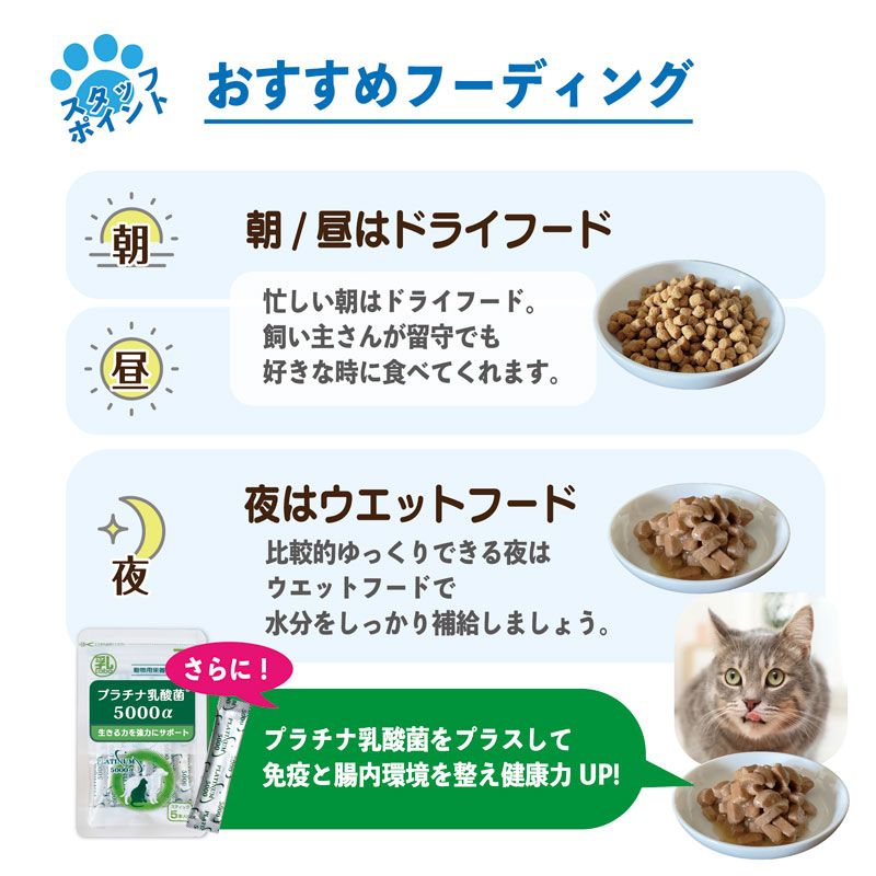 ピュリナワン 猫 11歳 高齢 ドライ ウエット パウチ お試し 健康維持