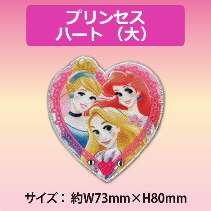 Disney（ディズニー） ワッペン プリンセス キラキラ 大 アイロン