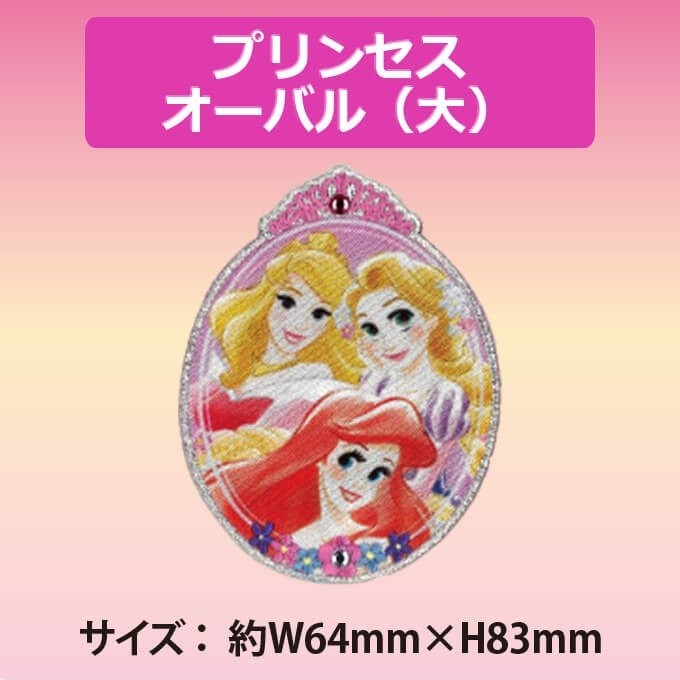 Disney ワッペン プリンセス キラキラ 大 ディズニー アイロン