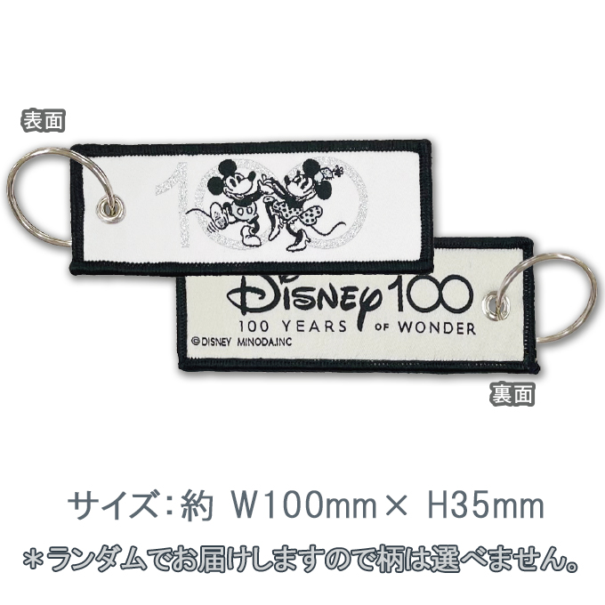 Disney100 フライトタグ ディズニー 100 キャラクター グッズ｜broderie01｜04