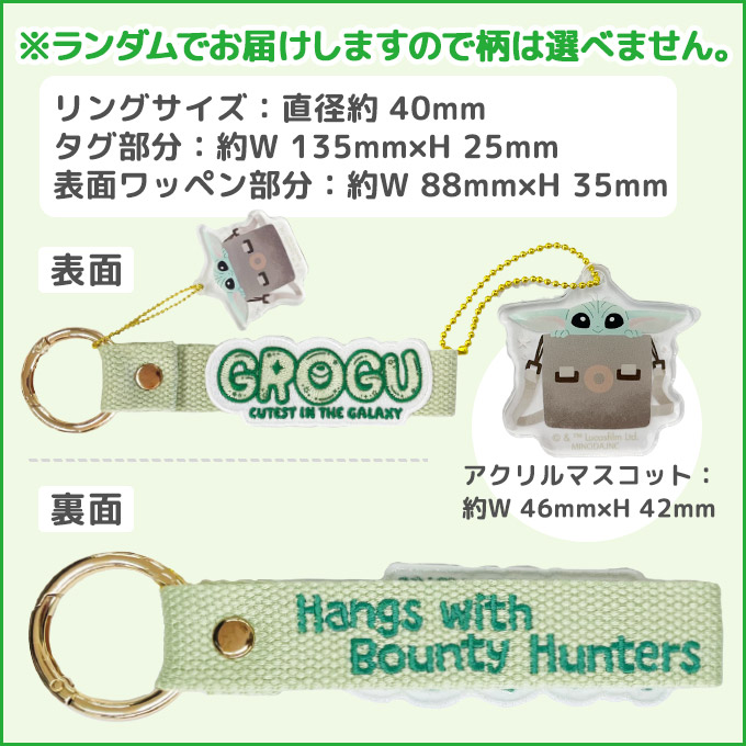 Disney（ディズニー） GROGU グローグー 刺繍タグキーホルダー