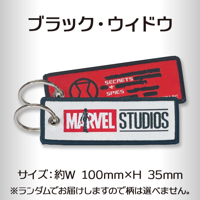 Disney（ディズニー） マーベルスタジオ フライトタグ MARVEL マーベル
