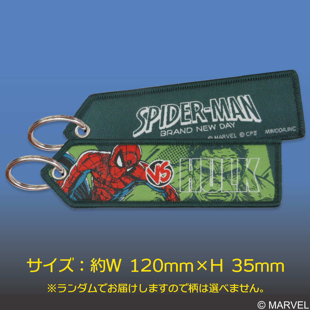 スパイダーマン フライトタグ ディズニー MARVEL キャラクター グッズ プレゼント 関連画像3