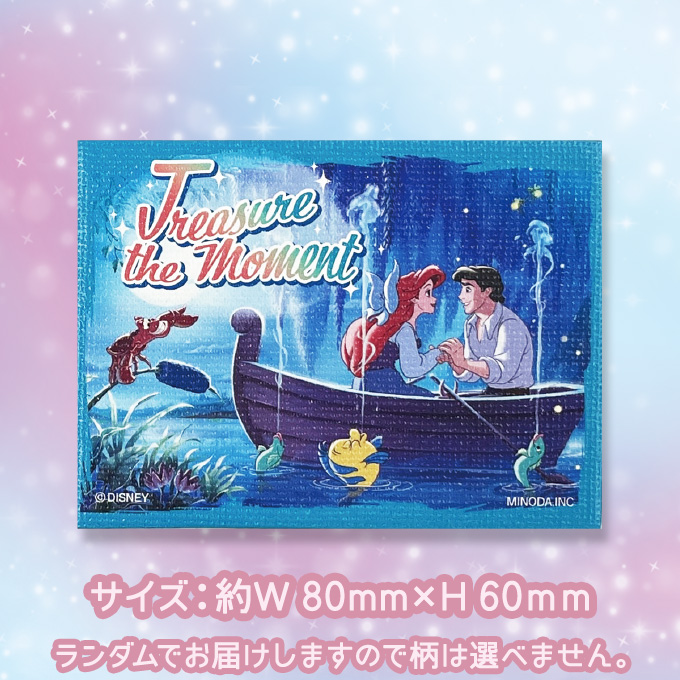 Disney（ディズニー） キャンバスマグネット ヒロインシリーズ