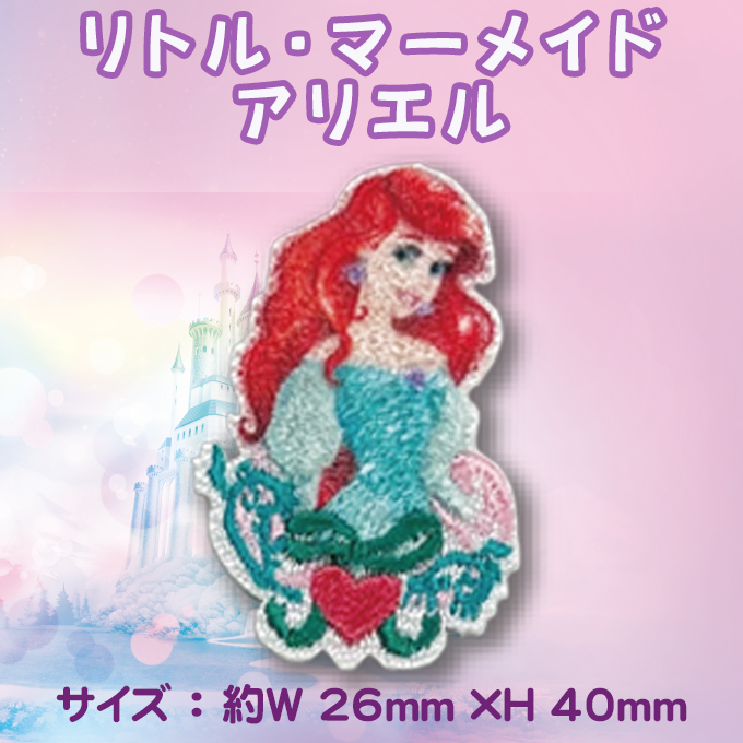 アラジン/美女と野獣/リトルマーメイド/眠れる森の美女
DVDセット でぃちゃん/TDR最新情報 ディズニー情報 on X: 