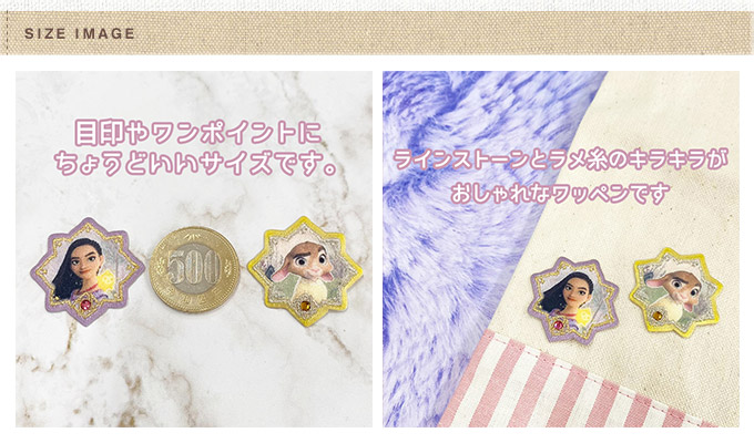 Disney（ディズニー） ウィッシュ ディズニー100周年 ワッペン 小