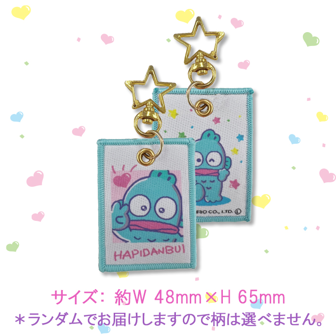 サンリオキャラクター キーホルダーセット 多色 未使用 sanrio サンリオ はぴだんぶい キーホルダー チャーム かわいい