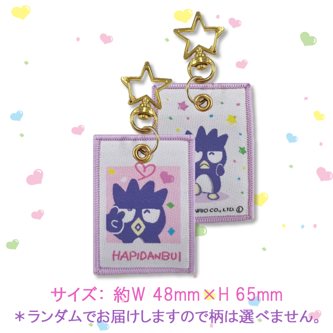 サンリオ キーホルダー チャーム ステッカー sanrio（サンリオ） はぴだんぶい キーホルダー チャーム かわいい