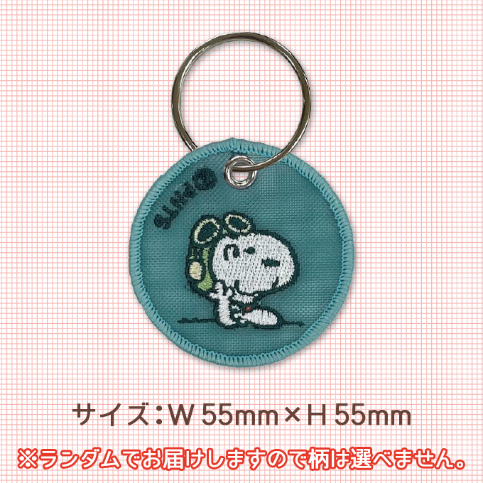 SNOOPY PEANUTS スヌーピー キーホルダー チャーム シアー 透け