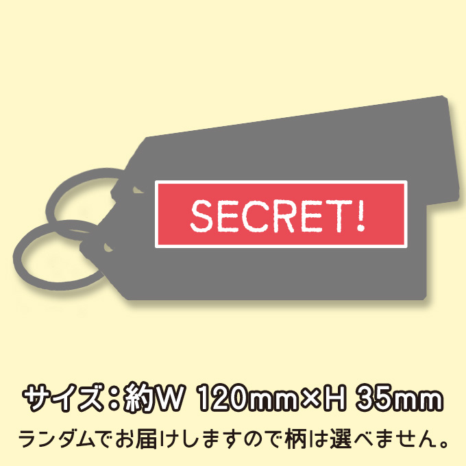 PEANUTS 75th スヌーピー フライトタグ キャラクター グッズ プレゼント : s02c3236 : 名入れ入園グッズ通販・ブロドリー -  通販 - Yahoo!ショッピング