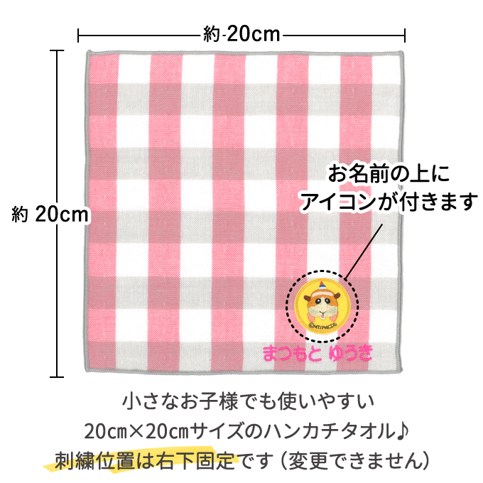 ブロドリー 名入れ 刺繍 ハンカチタオル PUI PUI モルカー DRIVING