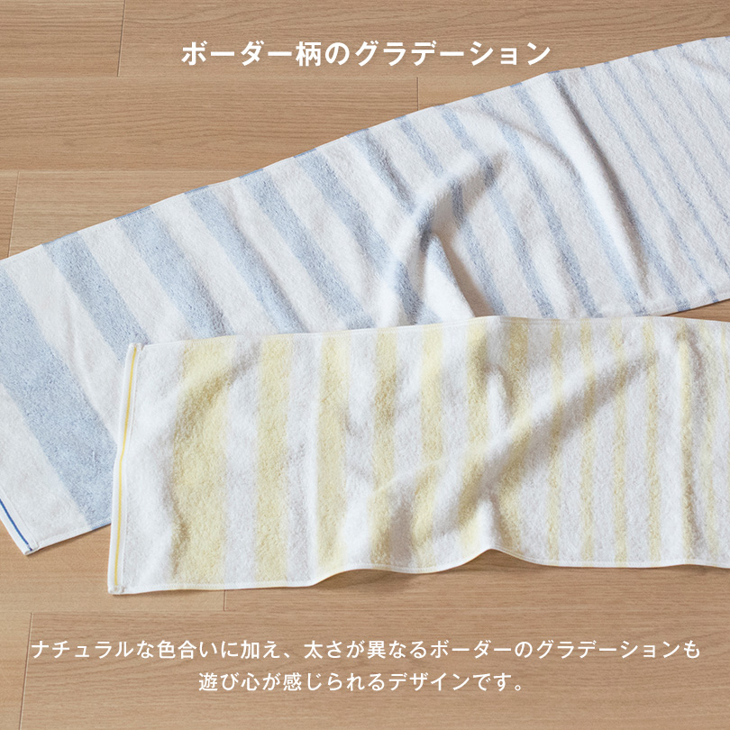 今治タオル ボーダー デイリー
