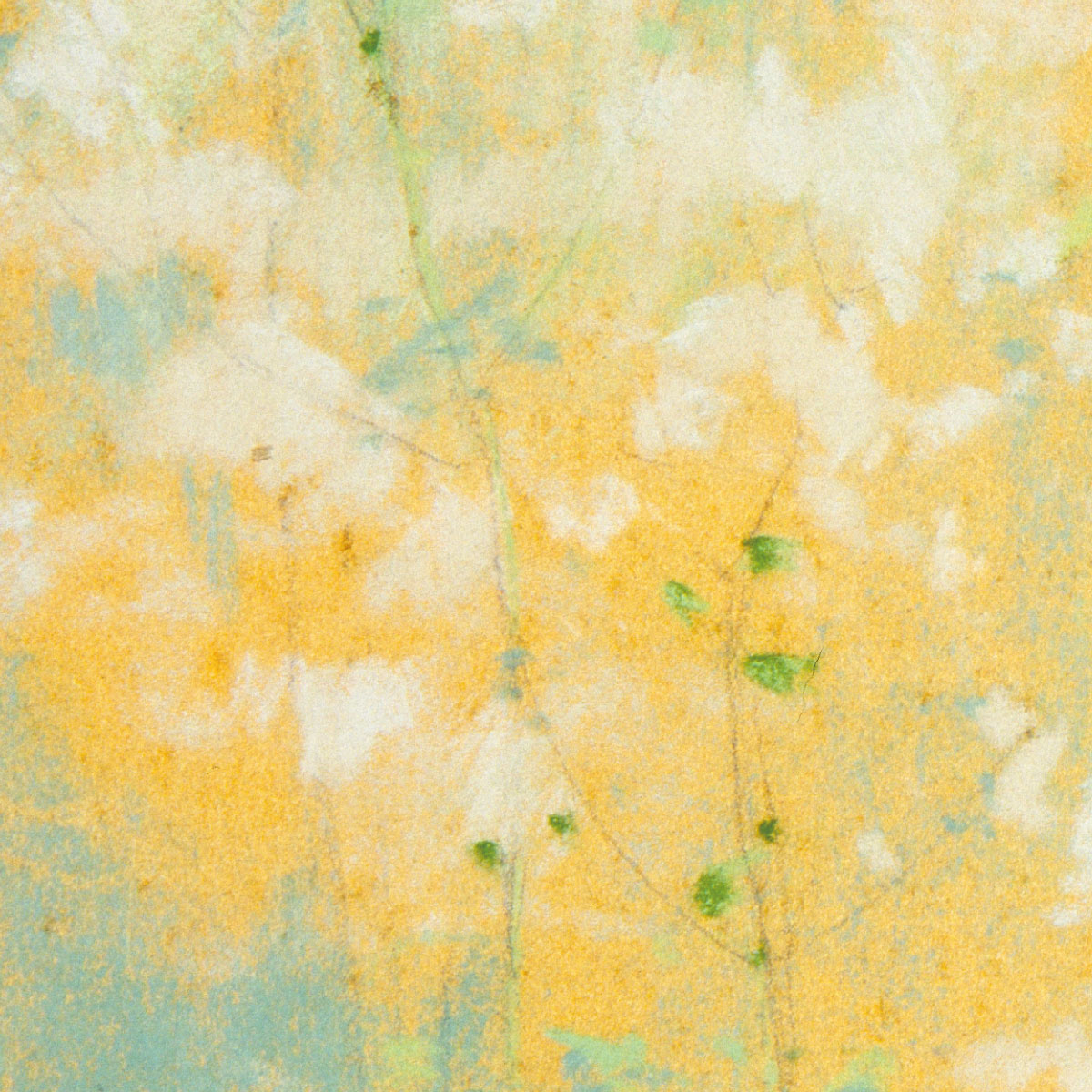 額縁付き アートポスター Wild Flowers 花 イエロー 黄色 天然木フレーム付き 額装 植物 おしゃれ 絵画 北欧 名画 インテリア 正方形  アートパネル APFS010