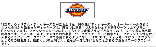 Dickies/ディッキーズ×テヅカフジオ・コラボ 172U30TF01 「ブラック