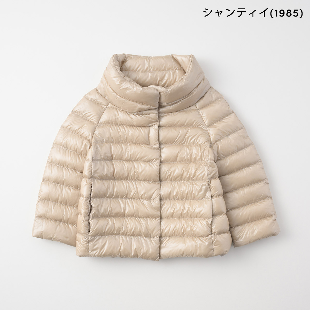 HERNO（ヘルノ） 並行輸入 ダウンジャケット イコニコ PI0046DIC