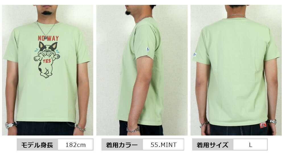The Endless Summer エンドレスサマー Tシャツ TES ブルドック