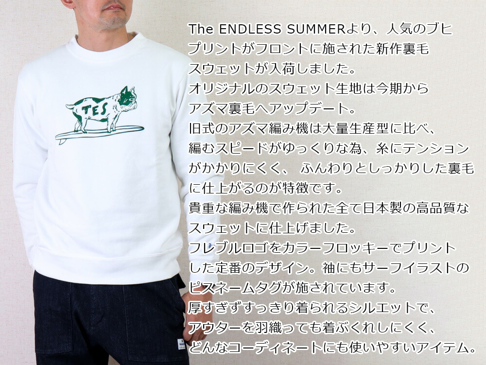 TES トレーナー スウェット エンドレスサマー The Endless Summer BUHI 