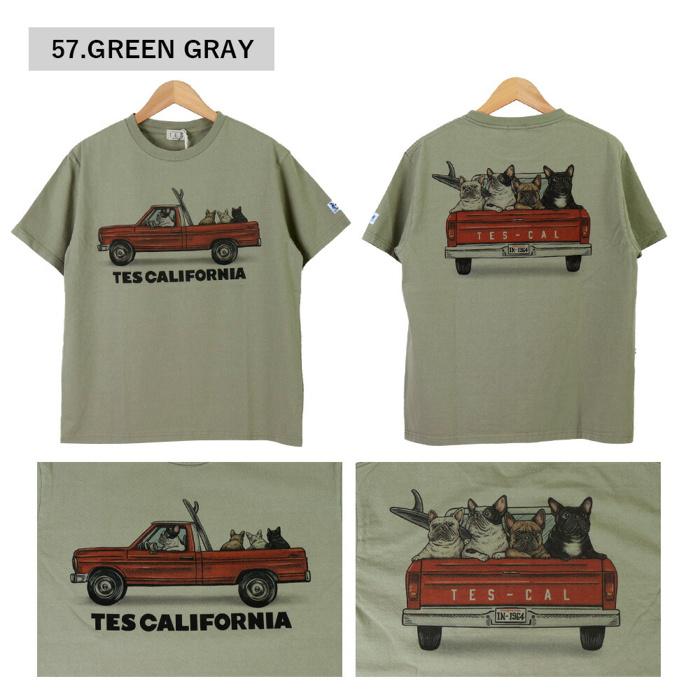 TES Tシャツ メンズ エンドレスサマー The Endless Summer 4BUHI