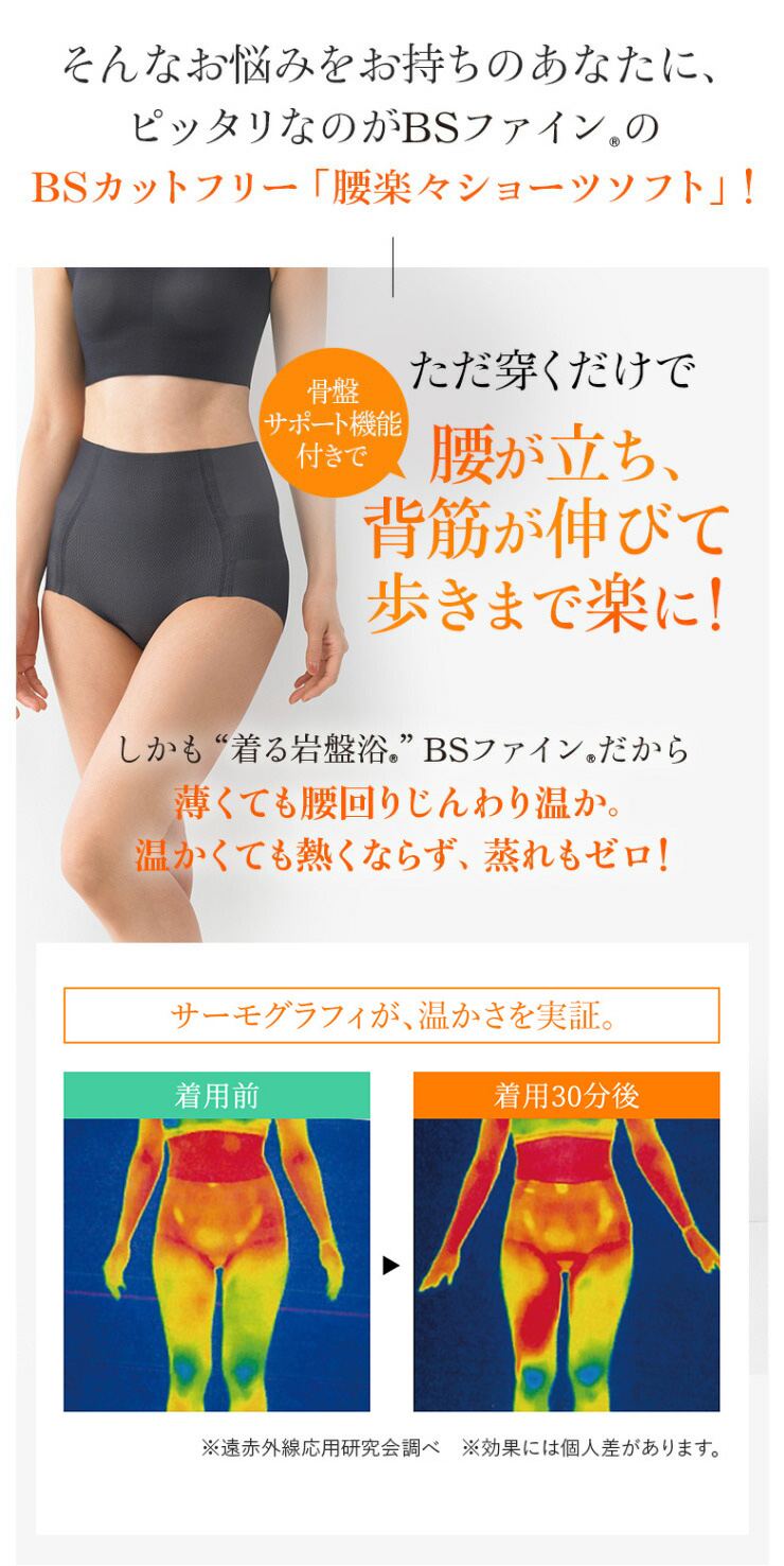 BSファイン ［2枚組］[BSファイン]BSカットフリー腰楽々ショーツソフト