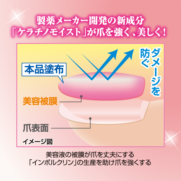 剥がせるネイル カラーアップ はがせる水性ネイル : ビューティー