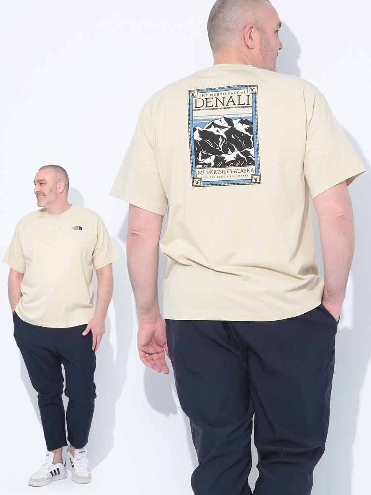 THE NORTH FACE DENALI ラグラン 半袖 Tシャツ 送関込 Tシャツ 半袖 SS Bandana Square Logo Tee NTW32446 K 【国内