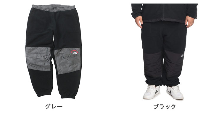 THE NORTH FACE レトロ デナリ パンツ ザ ノースフェイス ボア