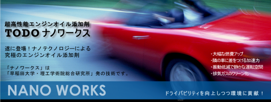 ナノワークスショップ
