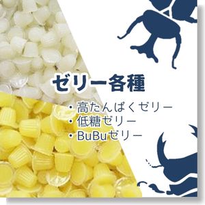 bubu商品 公式】BUBU STORE ｜ブブストア | ,ブブストア
