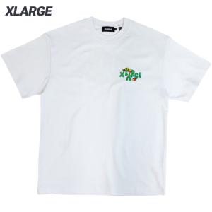 XLARGE エクストララージ Tシャツ XL BUG S/S TEE 半袖 カットソー 10123...