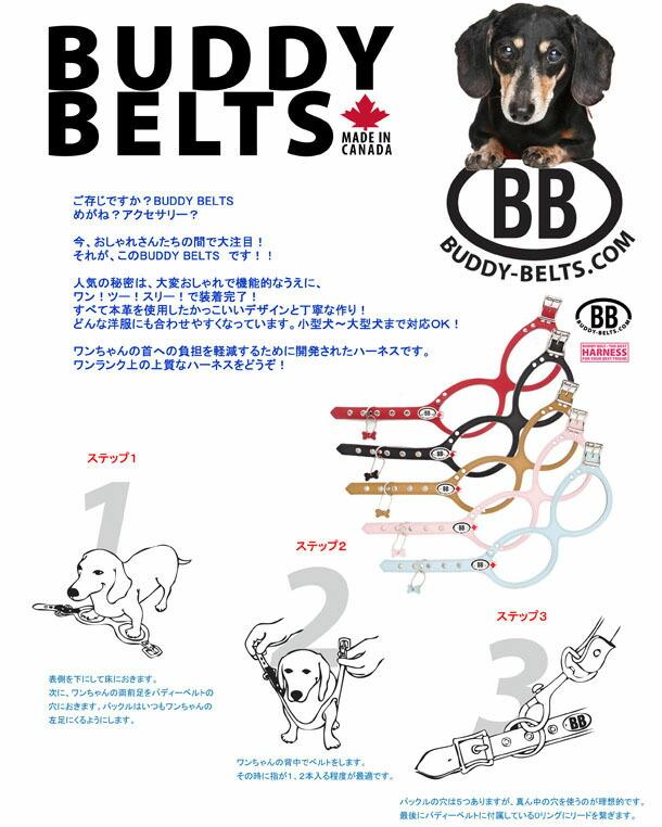 胴輪 ハーネス バディーベルト 6号 ペット 犬 レザー 本革 用 BUDDY