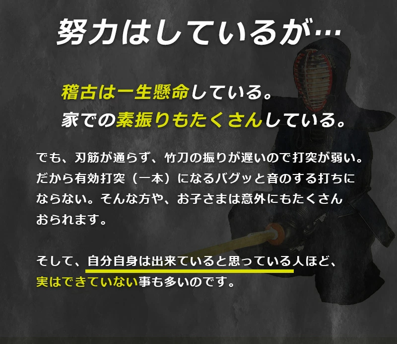 バイオテック 中太吟風仕組竹刀「上達型竹刀 -GRIP MASTER-」37〜39男女（中学生〜一般）【剣道竹刀・SSPシール貼付・男女用】